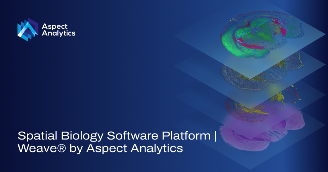 Aspect Analytics